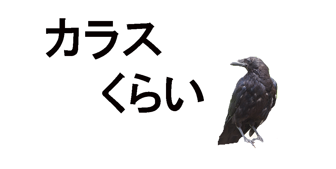 カラスくらい